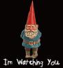 I'm Watching You- Gnome.