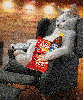 cat with junk food