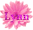 Lynn in pink flower