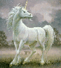 unicorns