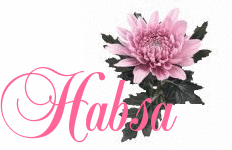 Habsa