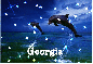 Georgia Dolphin
