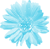 BLUE FLOWER