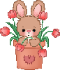 rabbit with flowers