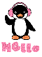 penguin hello