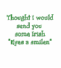 Have A Great St Patrick's Day